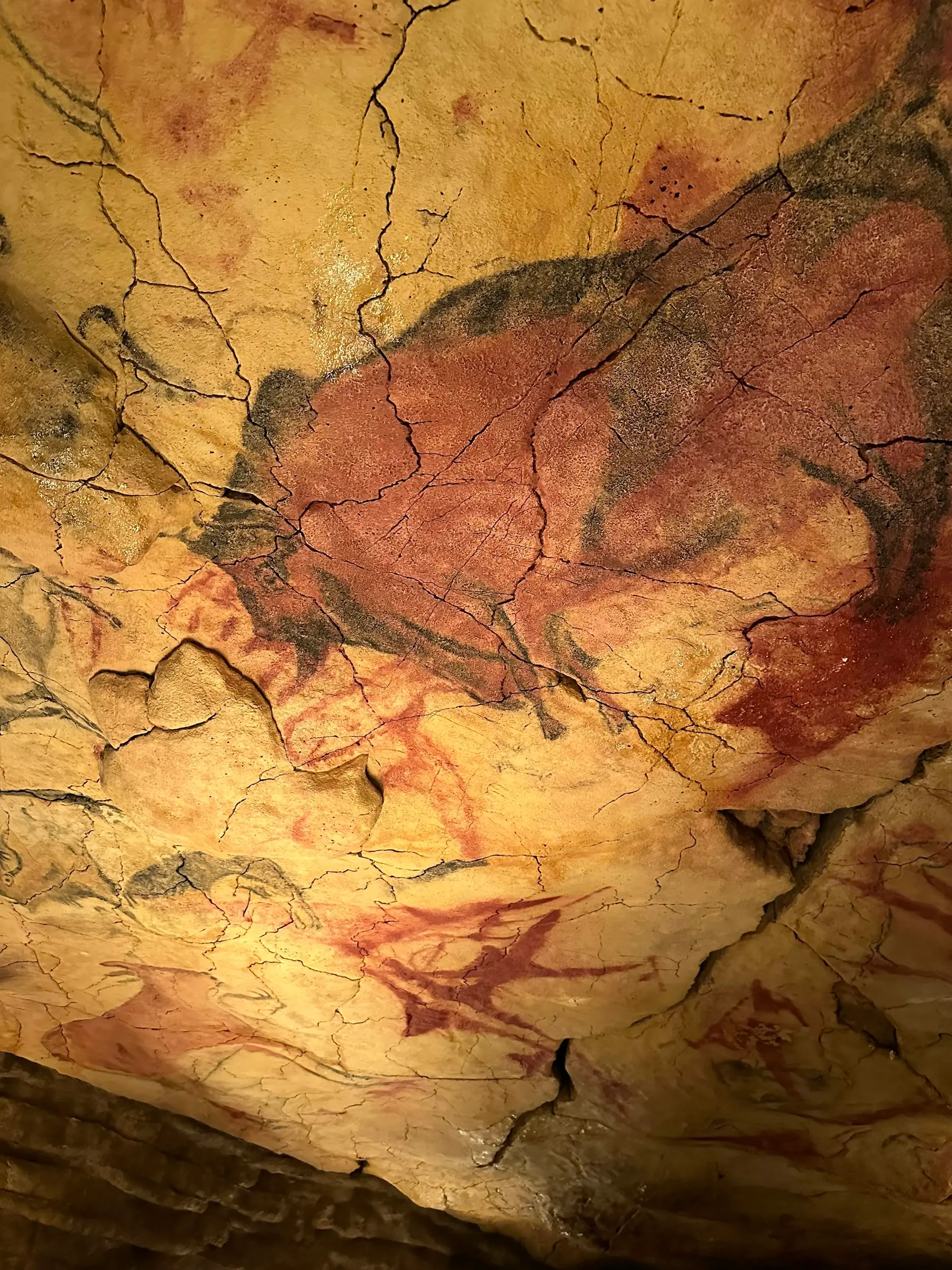 Pittura rupestre di un bisonte su una parete di roccia